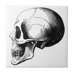 Skull Small (4,25" x 4,25") Keramik Foto Tile Fliese