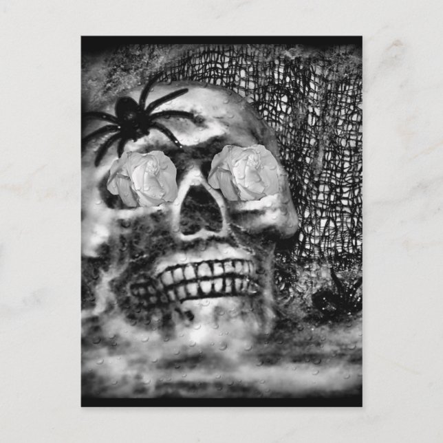 Skull-Spider und Rose-2012 Postkarte (Vorderseite)