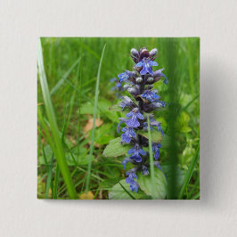 Skullcap Violet Wild Blume Button