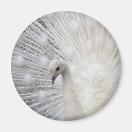 Skully Top Fun Magnet