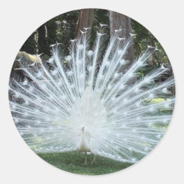 Skully Top Fun Runder Aufkleber