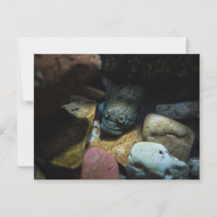 Skulptur auf einigen Felsen Postkarte