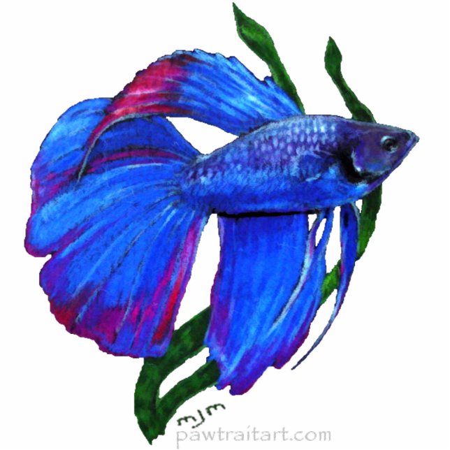 Skulptur - Betta Fisch Freistehende Fotoskulptur (Vorne)