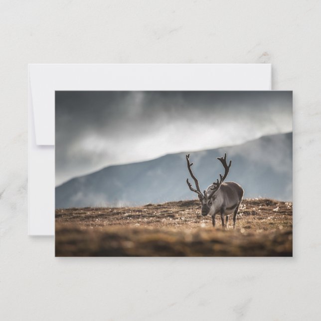 Skulpturenkarte (Vorderseite)