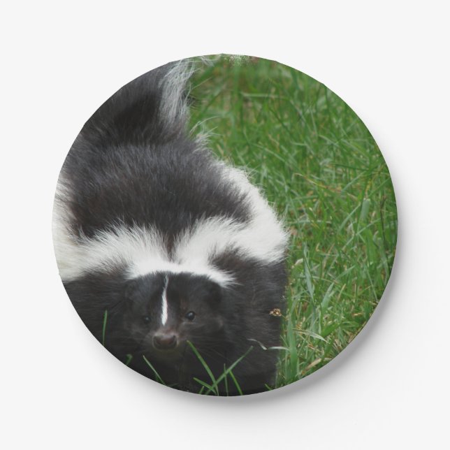 skunk-2 pappteller (Vorderseite)