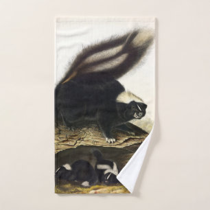 Skunk américaine commune, Striped Skunk, par Audub