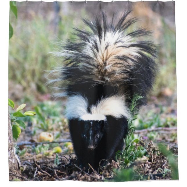 Skunk Black and White Duschvorhang (Vorderseite)
