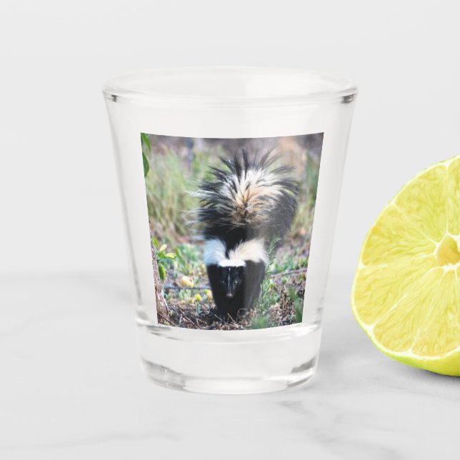 Skunk Black and White Schnapsglas (Vorderseite)