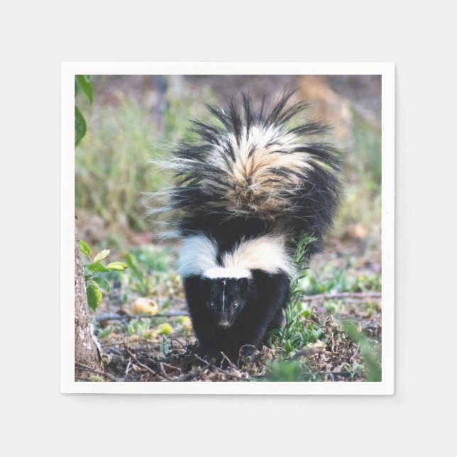 Skunk Black and White Serviette (Vorderseite)