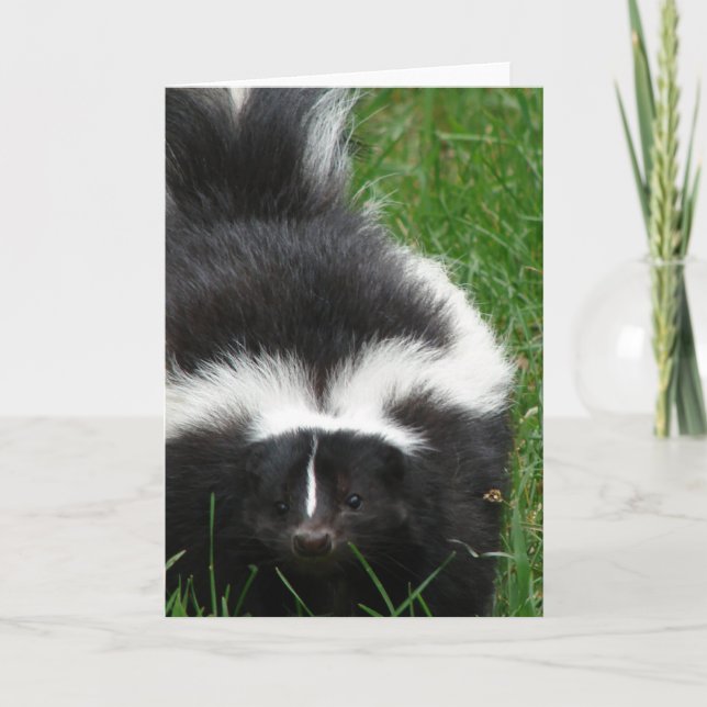Skunk Greeting Card Karte (Vorderseite)