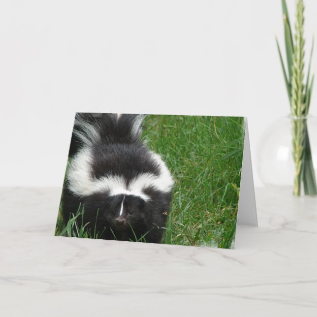 Skunk Greeting Card Karte (Vorderseite)