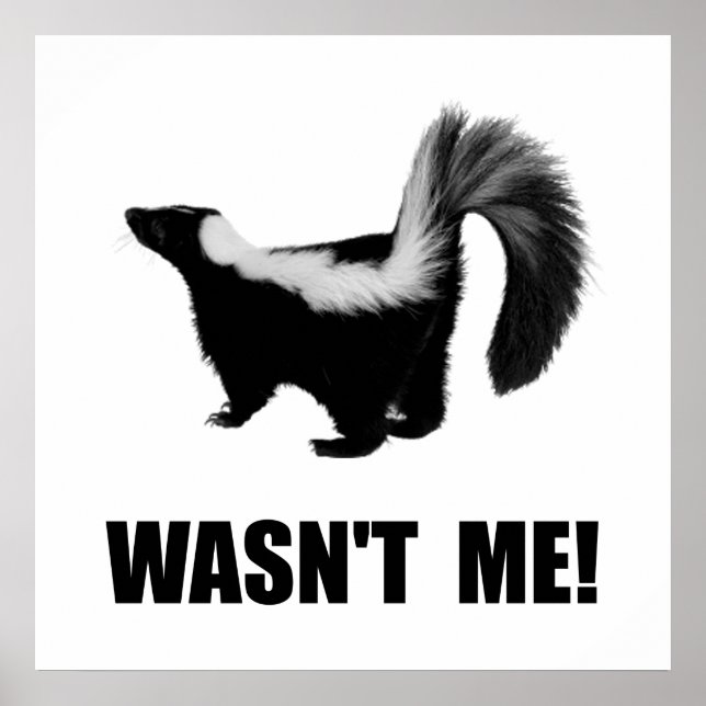 Skunk war nicht ich poster (Vorne)