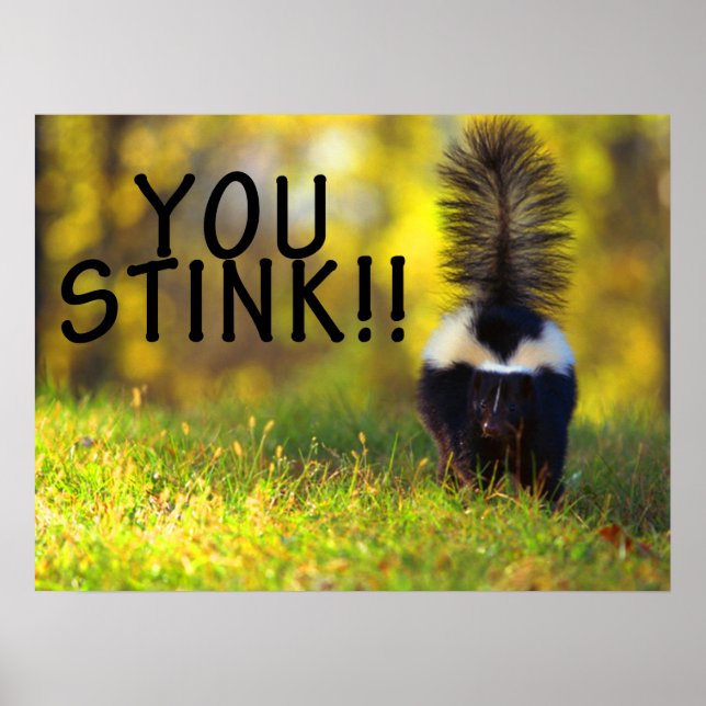 Skunk You Stink Poster (Vorne)