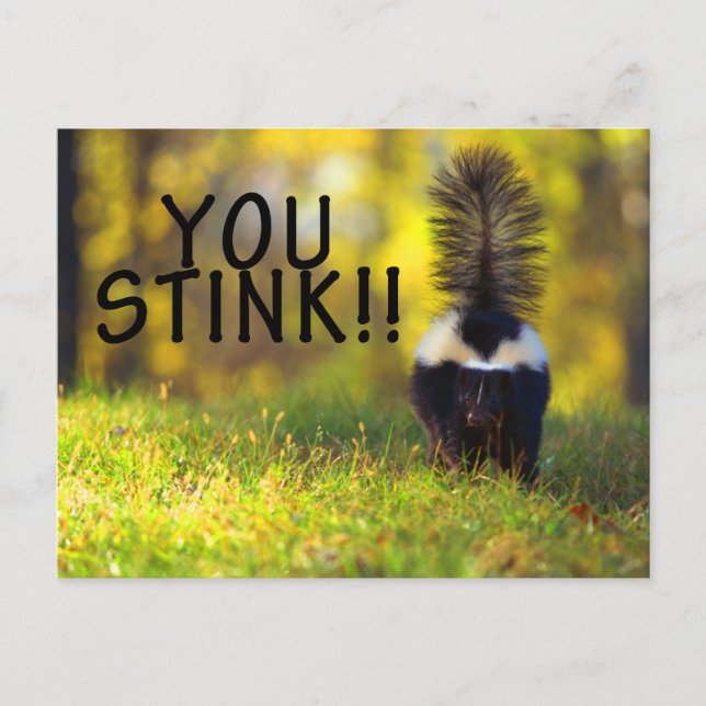 Skunk You Stink Postkarte (Vorderseite)