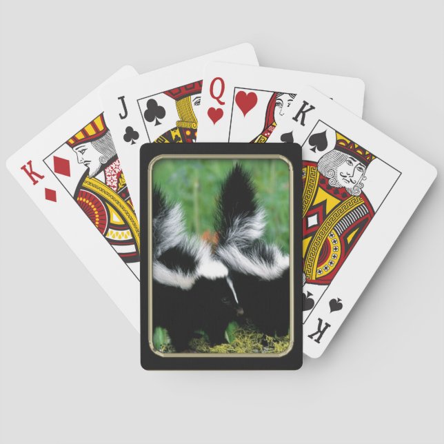 Skunks Foto Art Spielkarten (Rückseite)