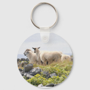 Skurrile Designs - Schafe auf einem Feld Schlüsselanhänger