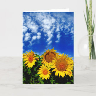 Sky and Bloom , Karte