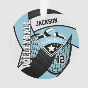 Sky Blue, Black and White Volleyball 🏐