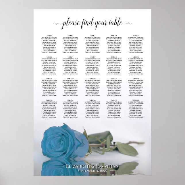 Sky Blue Rose 20 Table Wedding Seating Chart Poster (Vorne)
