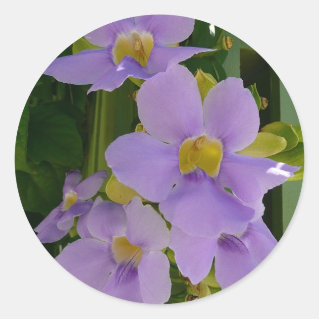 Sky Blume Tropischer Lila Blumen Runder Aufkleber (Vorderseite)