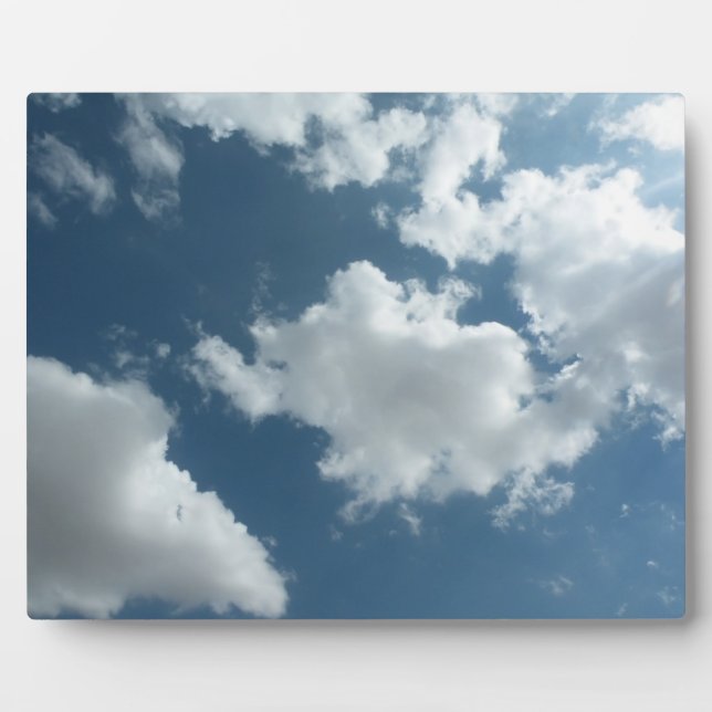 Sky Fotoplatte (Vorderseite)