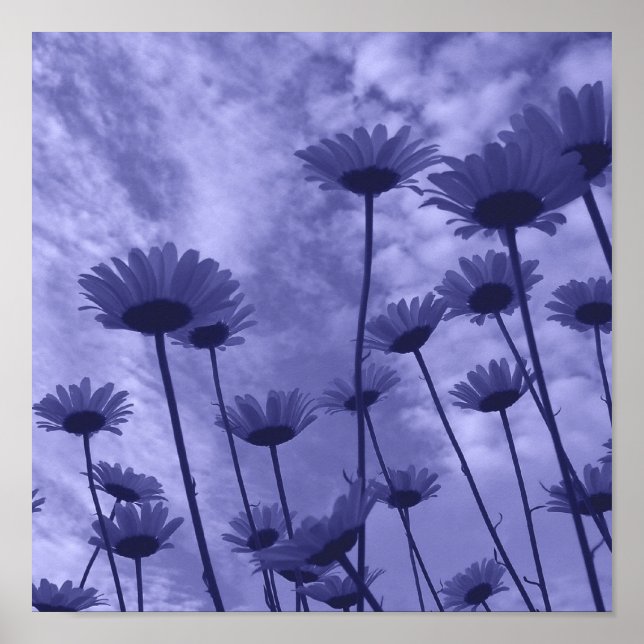 Sky Gazers Poster (Vorne)