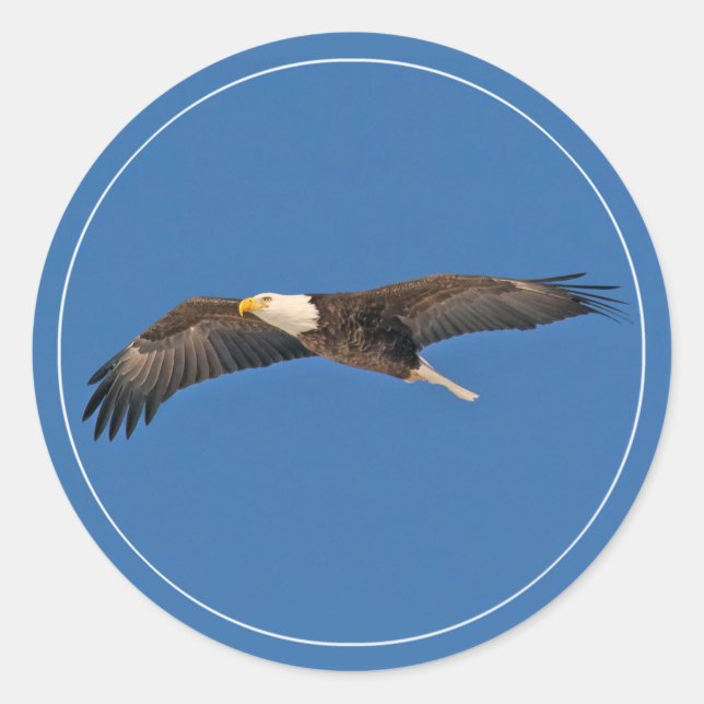 Sky High Bald Eagle Runder Aufkleber (Vorderseite)