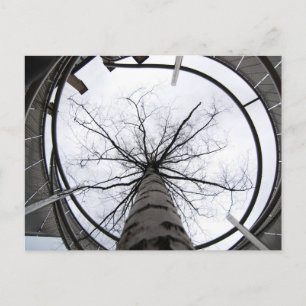 Sky ist die Limit-Postkarte Postkarte