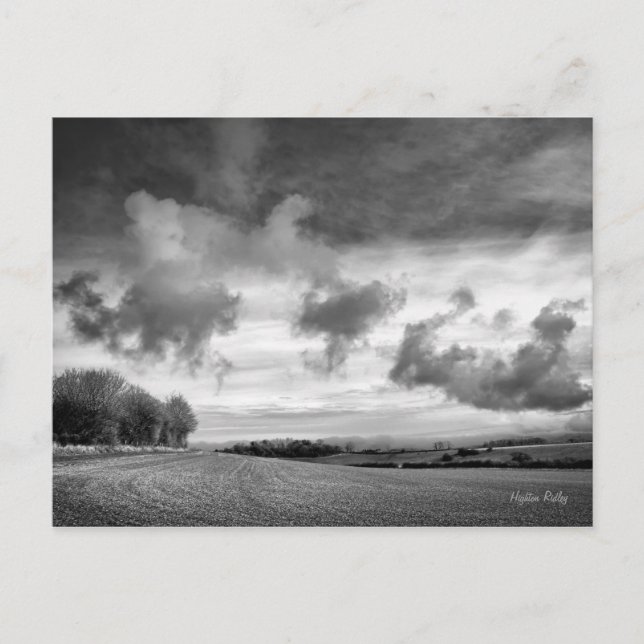 Sky Lambs, Postkarte von Wiltshire (Vorderseite)