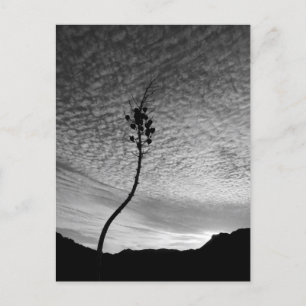 Sky Landscape Postkarte