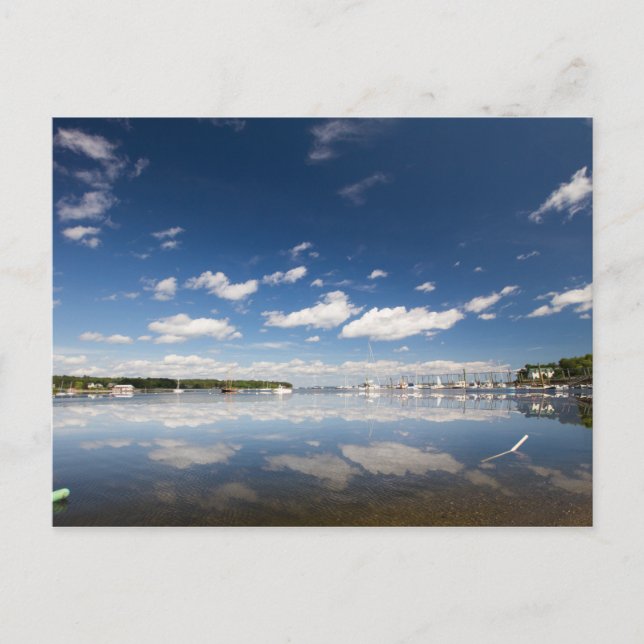 Sky Reflection am Hafen von Belfast, Maine Postkarte (Vorderseite)