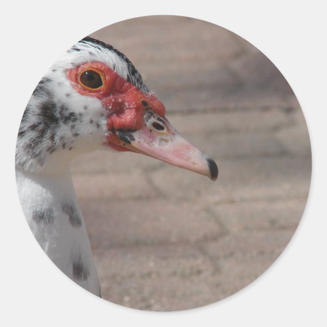 Sky Runder Aufkleber (Vorderseite)