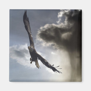 "Sky Warrior" Bald Eagle Geschenke Magnet