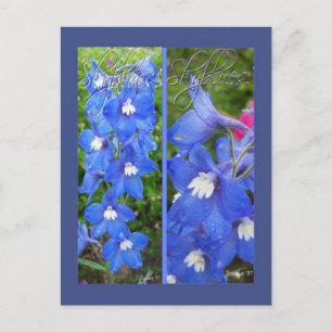 SKYBLUES LESEZEICHEN POSTKARTE