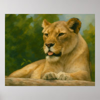 Skybound Grace - Lioness on Ledge