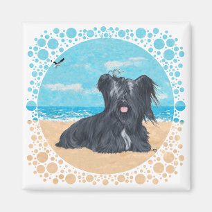 Skye Terrier am Strand Magnet