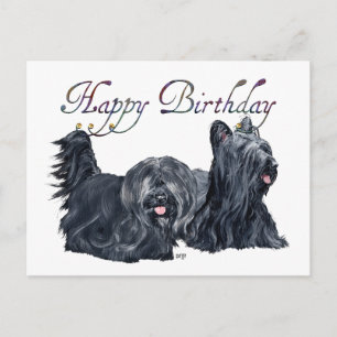Skye Terrier Geburtstagskarten Postkarte