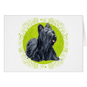 Skye Terrier Grüner Rasen