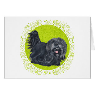 Skye Terrier Grüner Rasen
