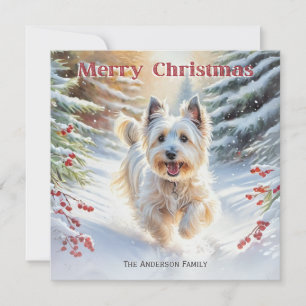 Skye Terrier Hund im Schnee Frohe Weihnachten