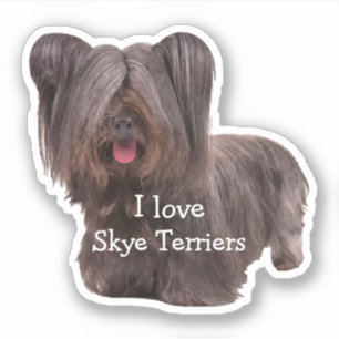 Skye Terrier Hundezucht-Ausschnitt Aufkleber