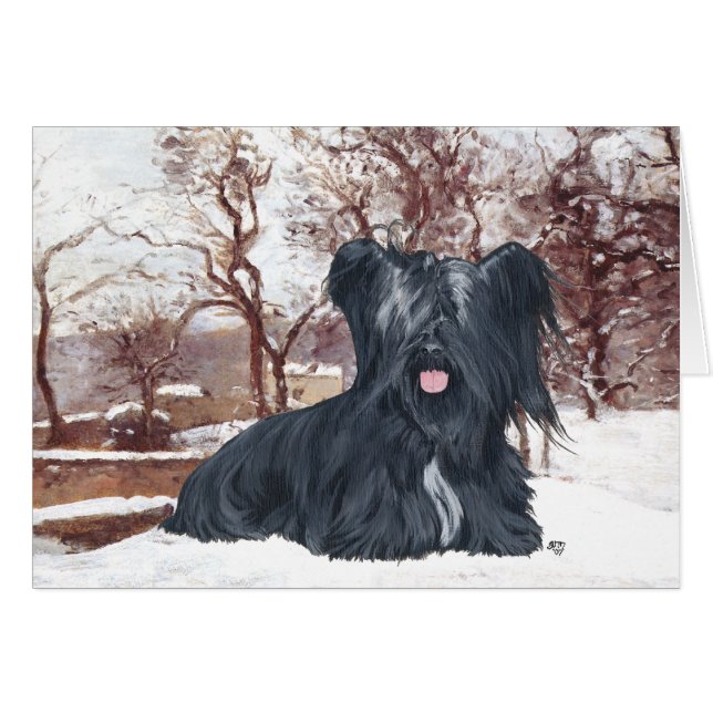 Skye Terrier im Winter (Vorderseite (Horizontal))