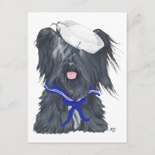 Skye Terrier Matrose Postkarte