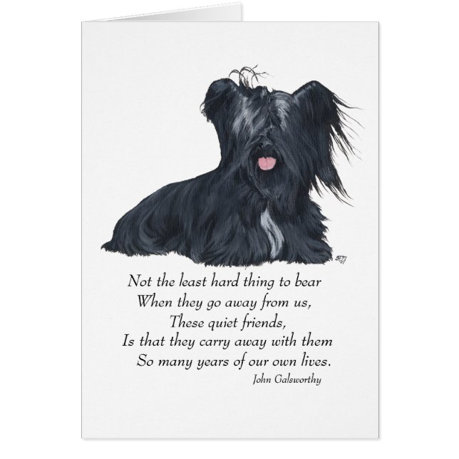 Skye Terrier Memory (Vorne)
