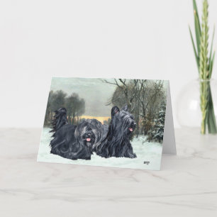 Skye Terrier Schneiger Sonnenuntergang Feiertagskarte