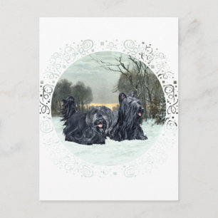 Skye Terrier Schneiger Sonnenuntergang Postkarte