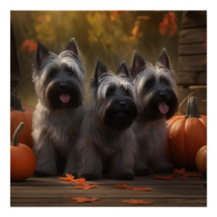 Skye Terrier Welpe Autumn Delight Pumpen Poster