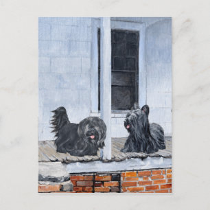 Skye Terriers warten auf der Veranda Postkarte