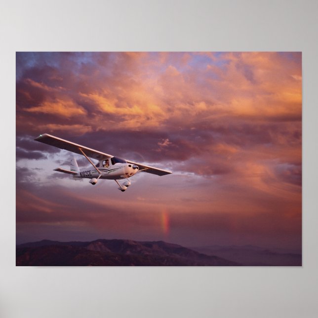 Skyfire Skycatcher Poster (Vorne)