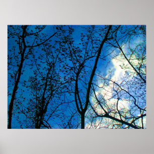 Skyline durch Tree Scapes fallen - Toronto Island Poster